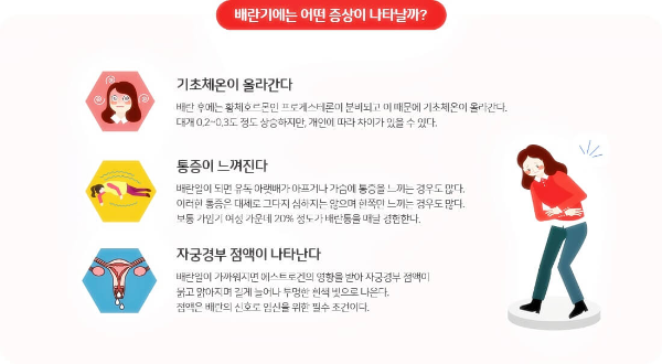 배란기-증상