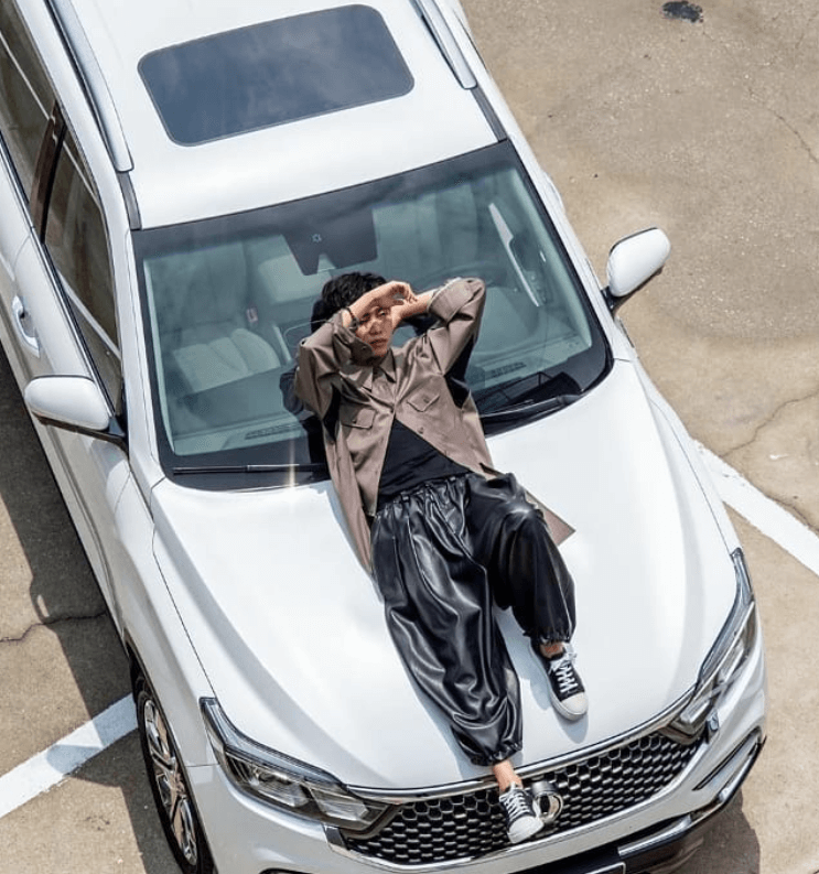 임영웅 세금 체납 압류