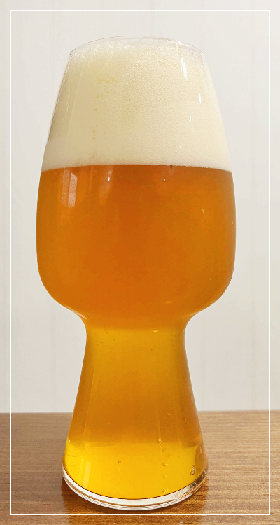홉코스터 아이피에이(IPA)