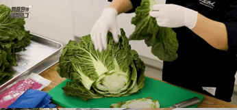 백종원 김장김치