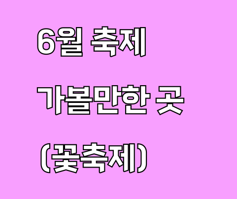 비체올린 능소화축제