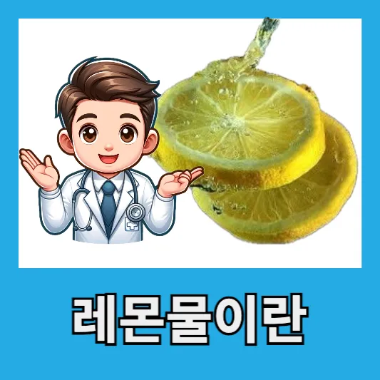 "다이어트 레몬물"