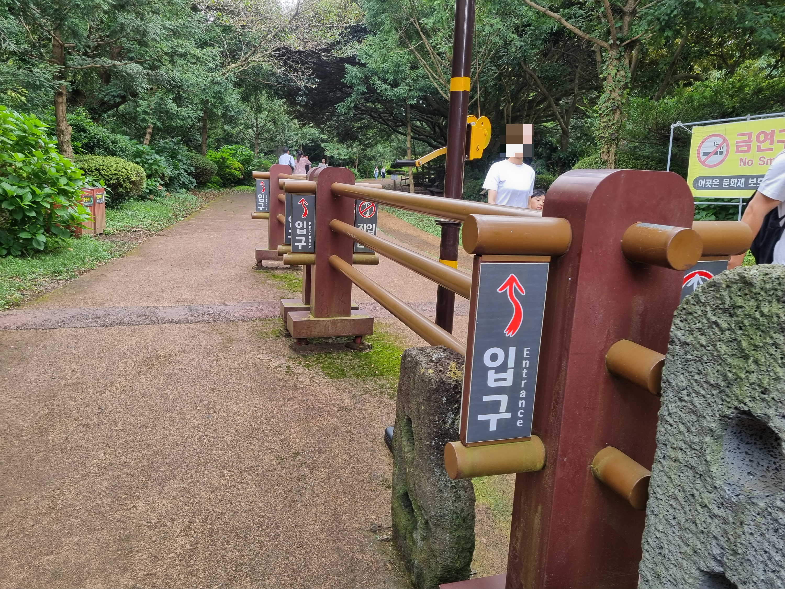 비자림