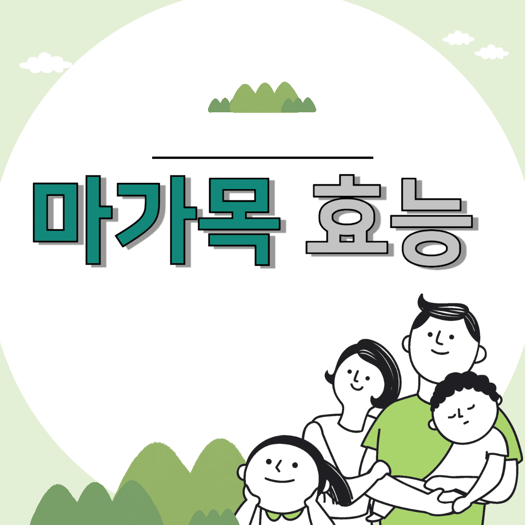 마가목 효능