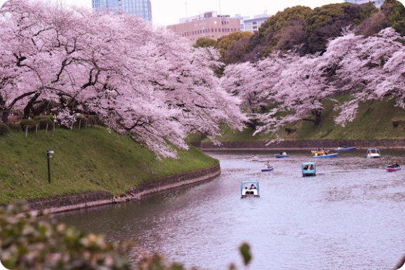 일본 벚꽃 명소 추천