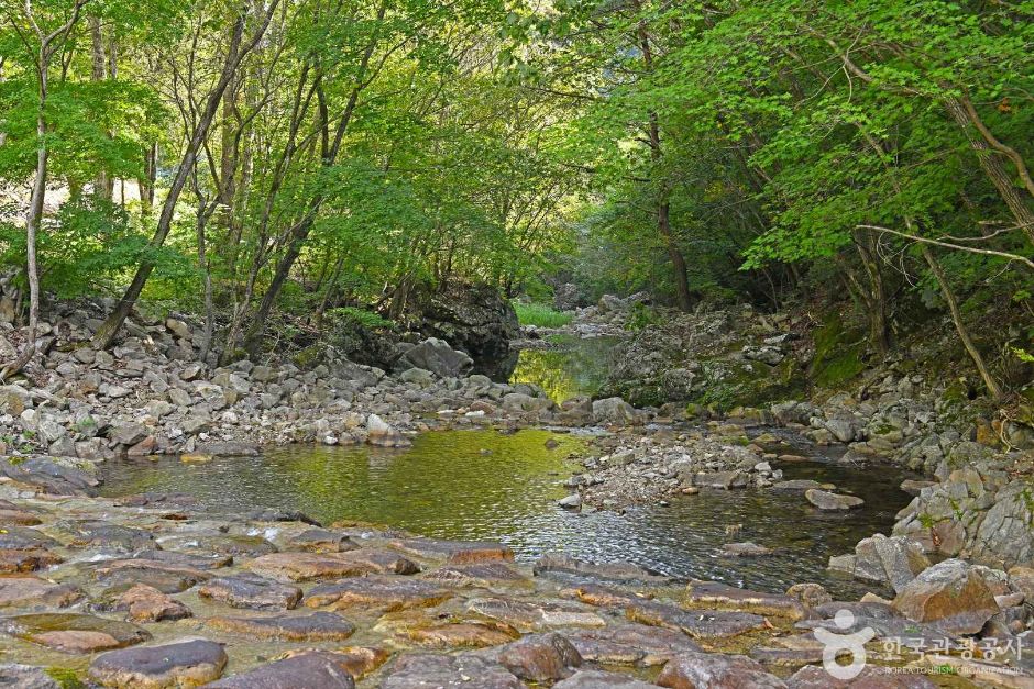 [강원도 여행지 추천] 인제 가볼만한 곳 베스트 10 갯골자연휴양림