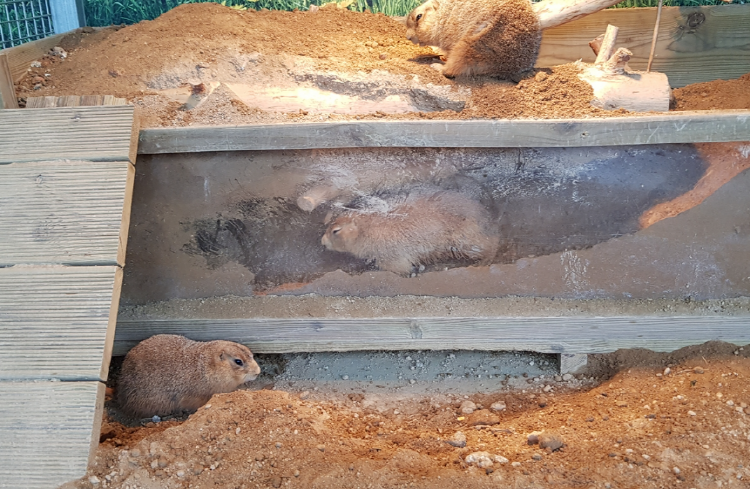 파주 퍼스트가든