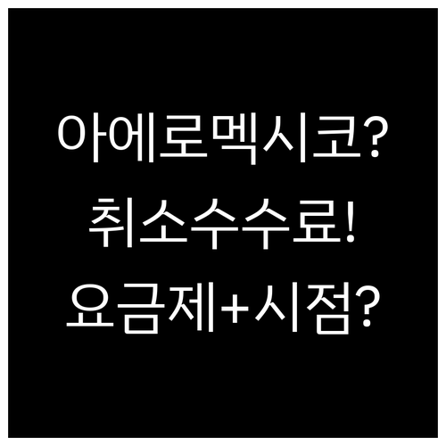 아에로멕시코 취소 수수료, 요금제와 ..