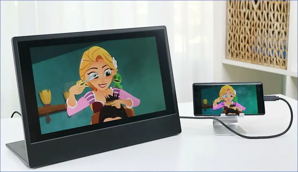 USB-C타입-미러링1