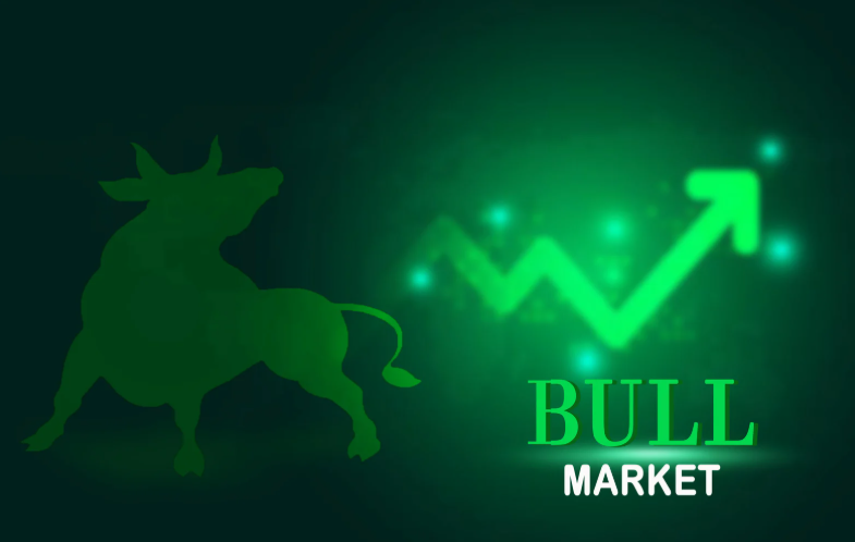 비트코인 강세장(Bull Market)