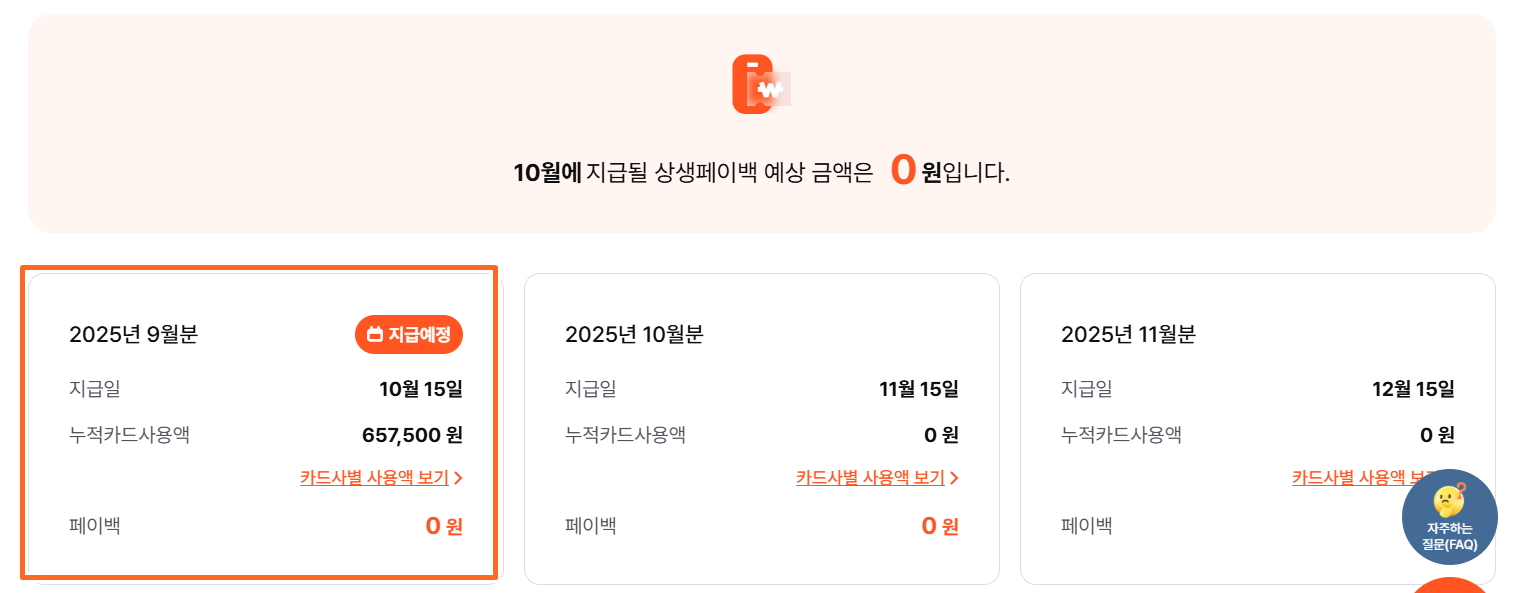 폐이백 조회