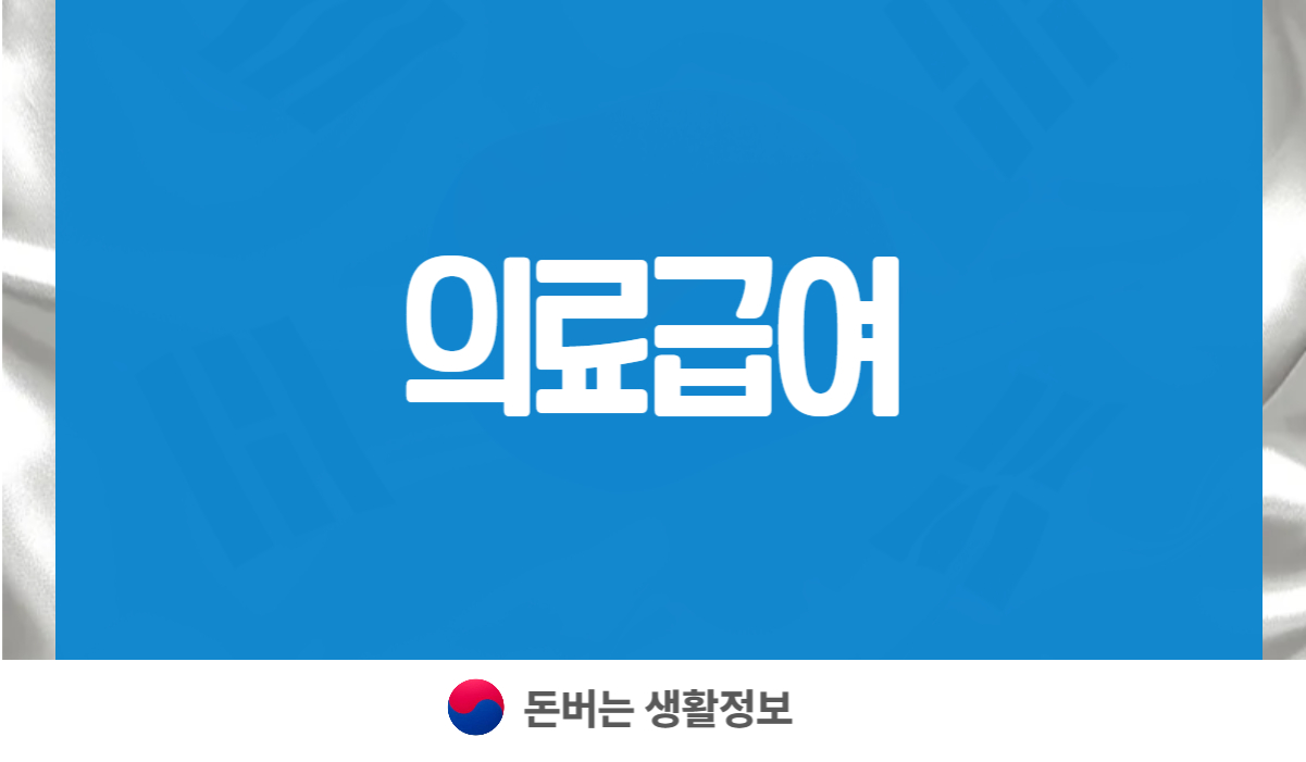 의료급여