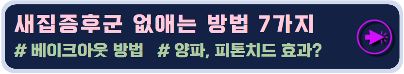 새집증후군 없애는 방법