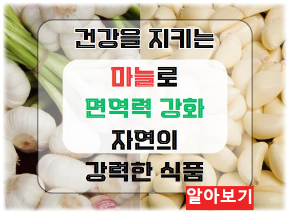 마늘로 면역력 강화하기: 건강을 지키는 자연의 강력한 식품