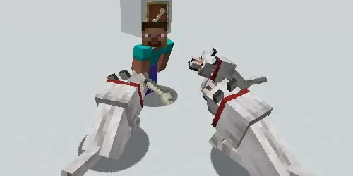 뼈를 통해서 늑대를 길들일 수 있다.