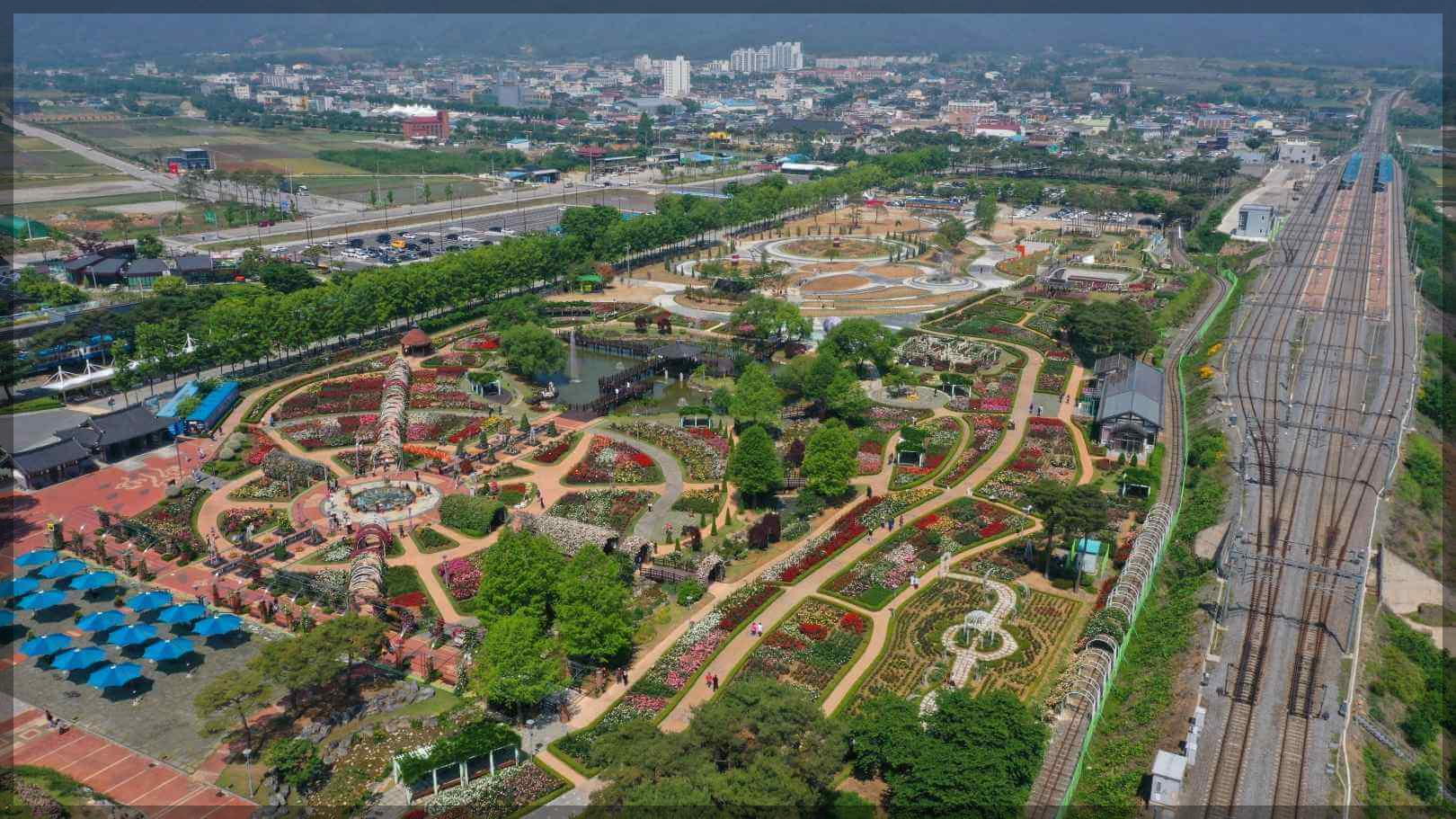 2024곡성장미축제 기간 내용 입장료 주차장 숙박[총정리]