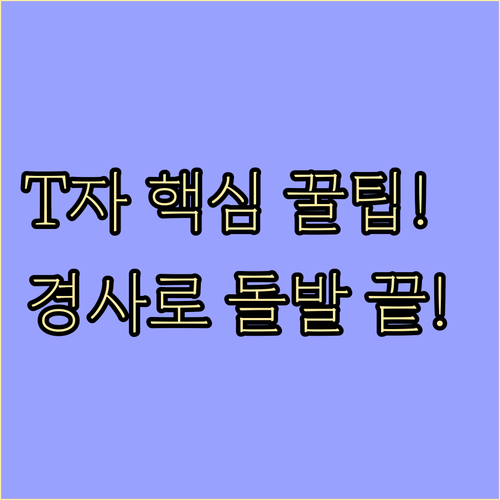 경사로 T자 주차 돌발상황 기능시험 ..