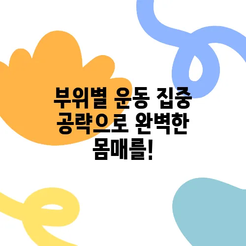 부위별 운동 집중 공략으로 완벽한 몸매를!