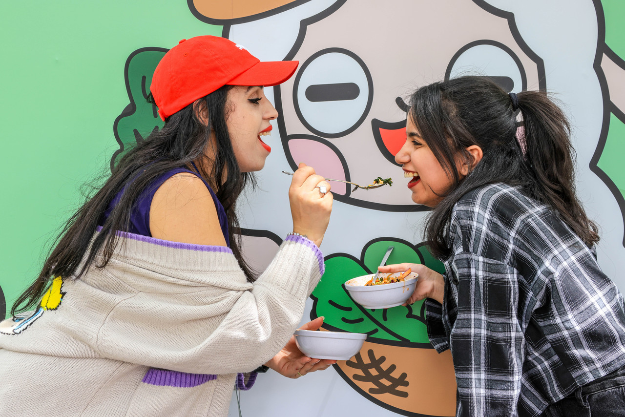 [4월 축제]양평 용문산 산나물축제❘기간, 일정, 프로그램, 사전 예약 방법