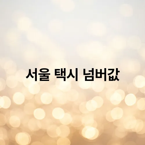 서울 택시 넘버값