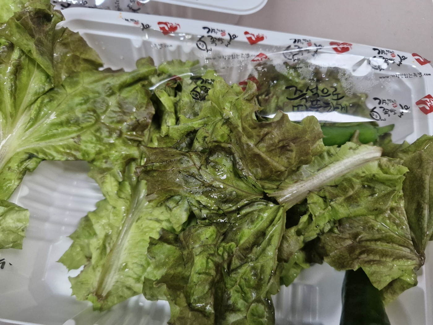 경기 지역 50대 창업 지원 조건(식당.대출,절차)