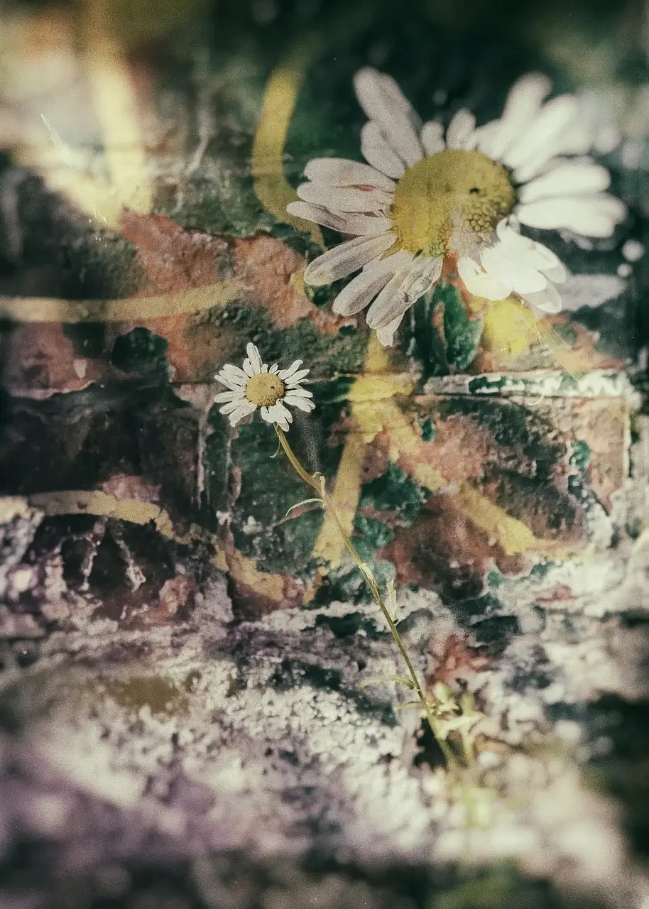 손글씨로 시작하는 부업! 캘리그라피 자격증으로 나만의 글씨를 돈으로 바꾸자✍️