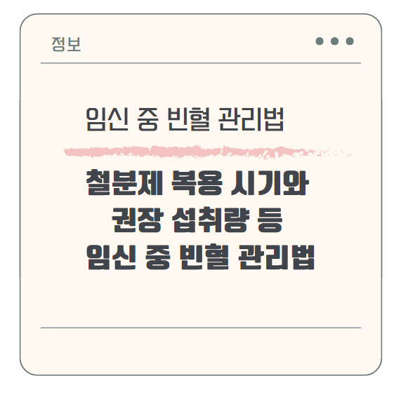 철분제 복용 시기와 권장 섭취량 등 임신 중 빈혈 관리법