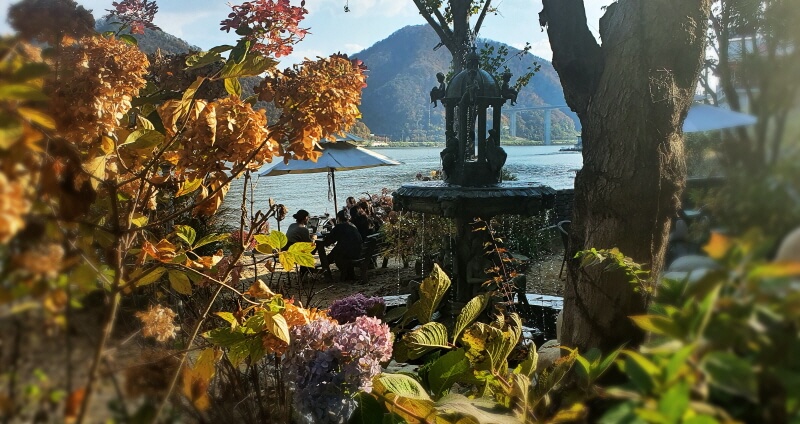 대너리스-카페-정원-수국