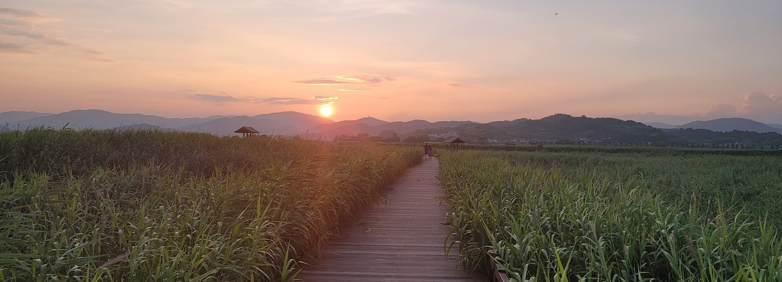 순천만 탐방로