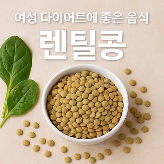 여성 다이어트 음식 렌틸콩 영양 효과 섭취 방법 부작용 알아보기