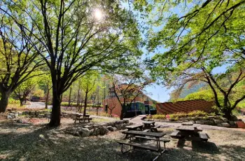 장령산 자연휴양림_1