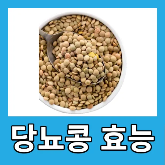 당뇨관리 루피니빈 섭취 방법 루피니빈 효능 당뇨콩 부작용