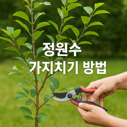 [정원가꾸기_실전편]가지치기 실패 없이 하는 법 : 초보도 가능한 전정 공식