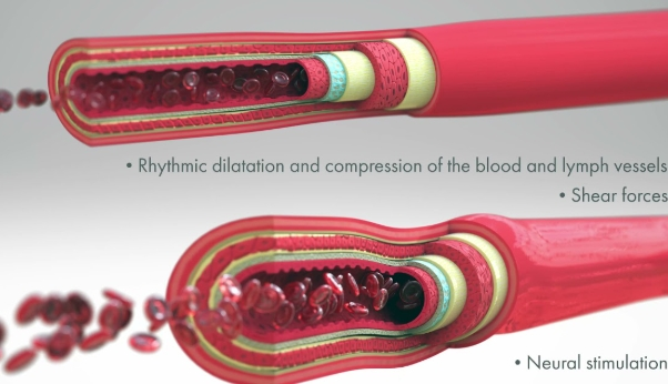 60๋ ํ์ก์ํ ๊ฐ์ , ์ง๊ธ ์์ํด์ผ ํ๋ ์ด์ ์ ์ค์ฒ๋ฒ