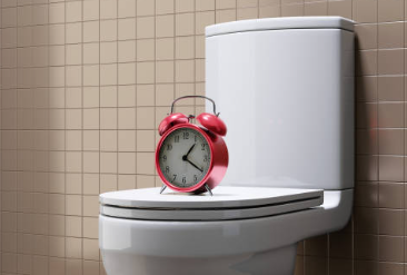 규칙적인 배변 습관