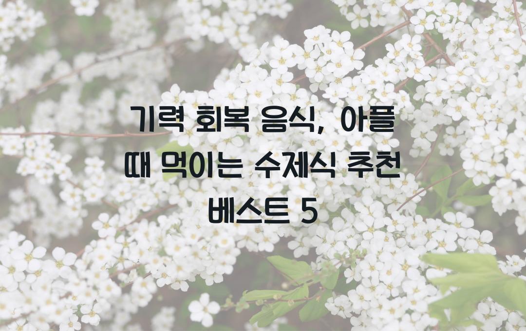 기력 회복 음식, 아플 때 먹이는 수제식 추천