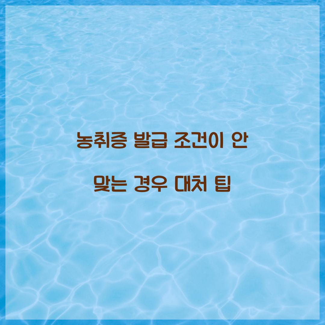 농취증 발급 조건이 안 맞는 경우 대처 팁