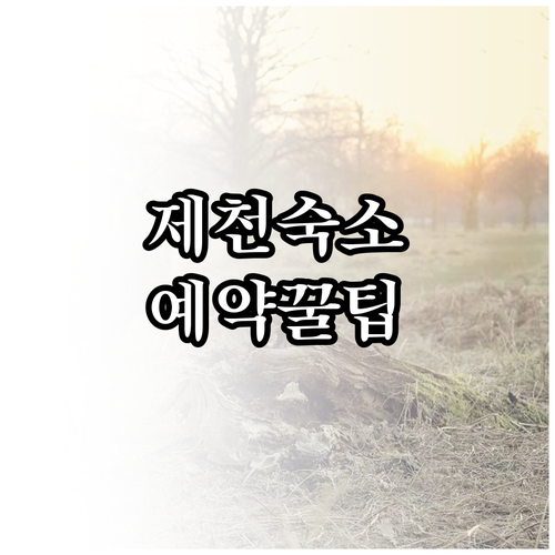 직접 다녀온 사람들이 극찬하는 제천 ..