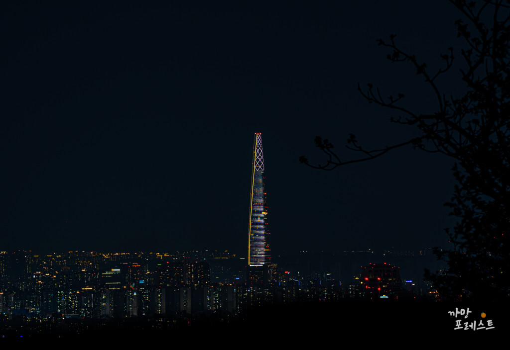 우면산 롯데타워