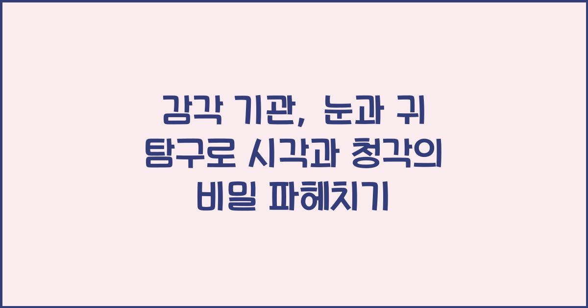 감각 기관, 눈과 귀 탐구