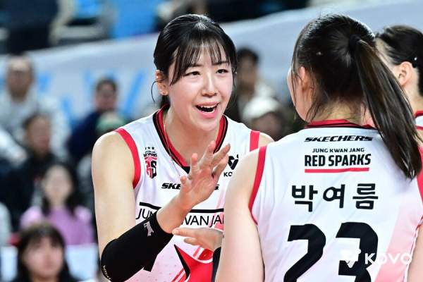 흥국생명 정호영 영입, FA 최대어 3년 16.2억 '국대 트윈타워' 완성