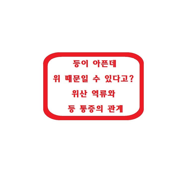 등이 아픈데 위 때문일 수 있다고?위산 역류와 등 통증의 관계