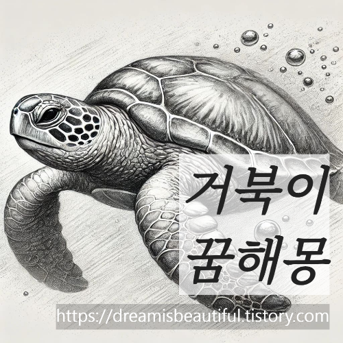 거북이꿈해몽