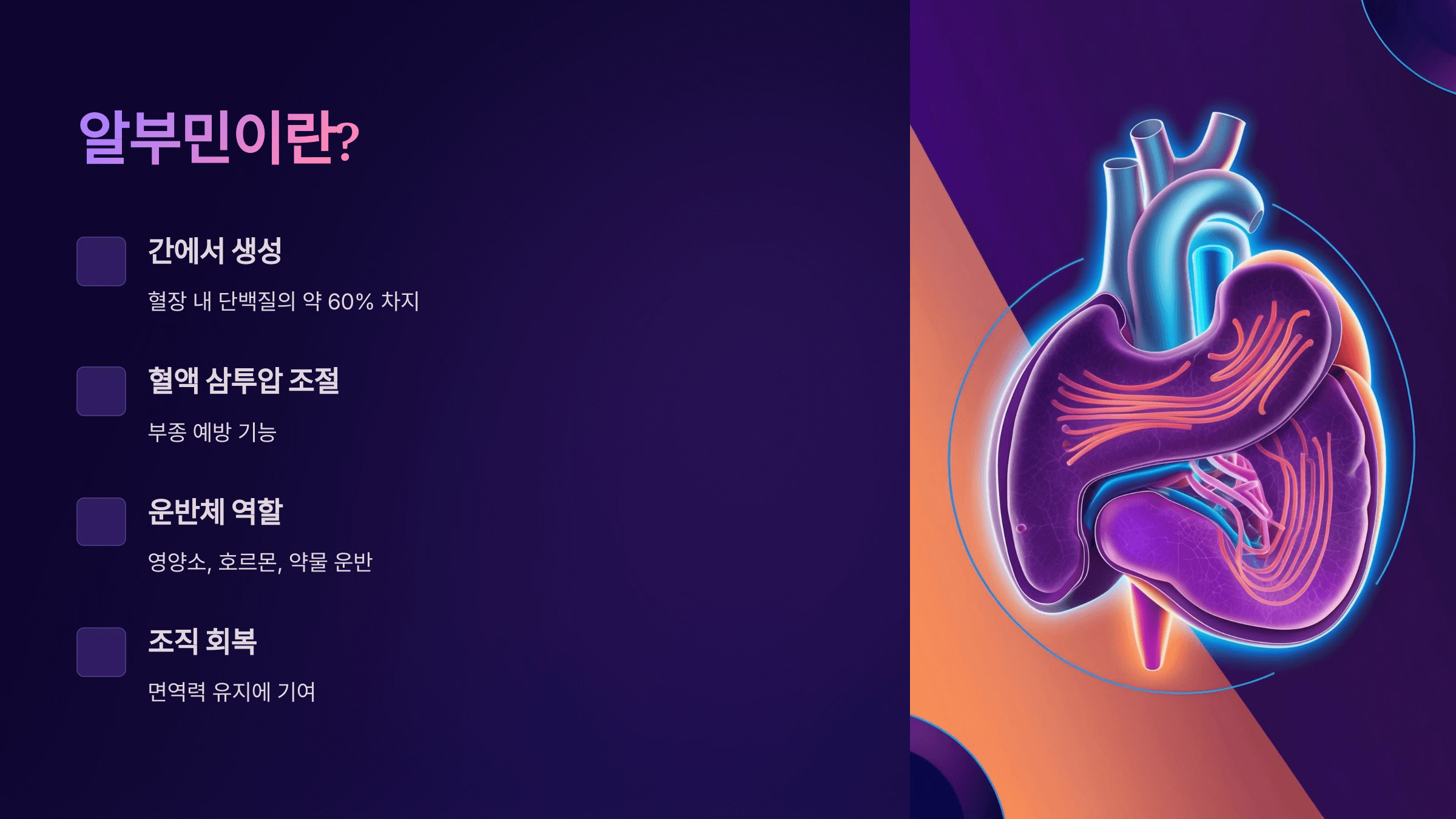 알부민과 관련된 사진입니다.