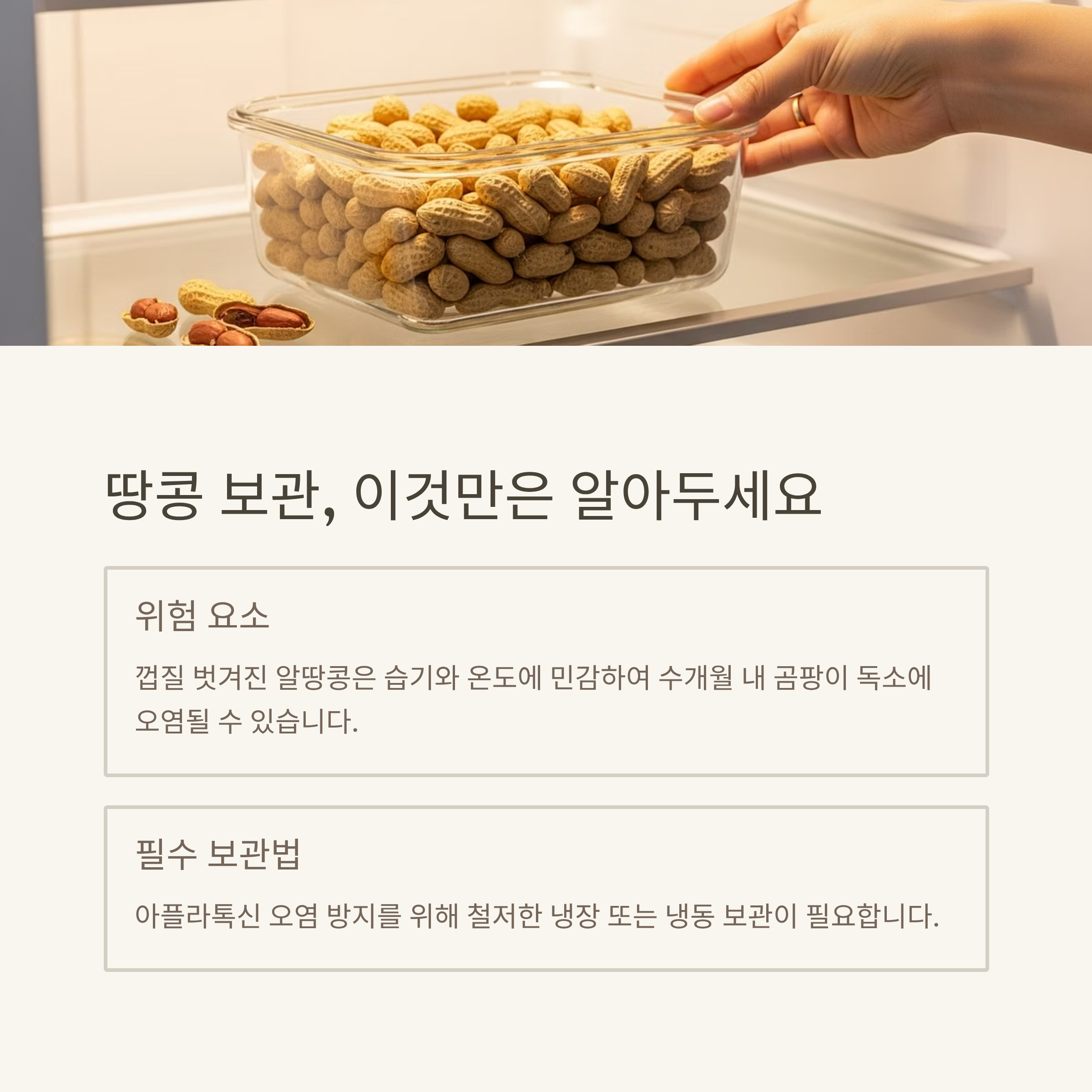 땅콩 보관, 이것만은 알아두세요