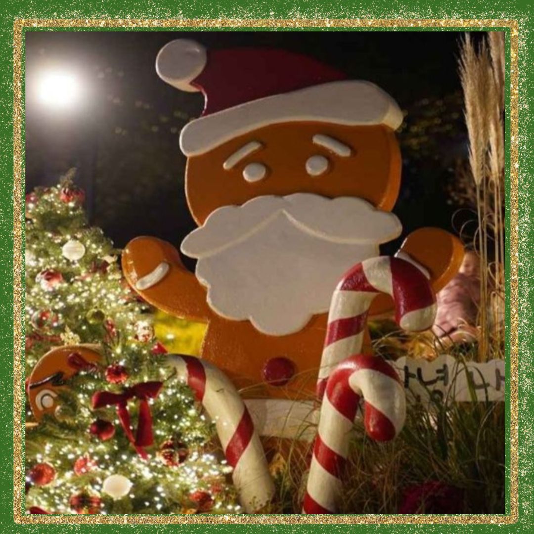 대구/네이처파크/미라클/크리스마스