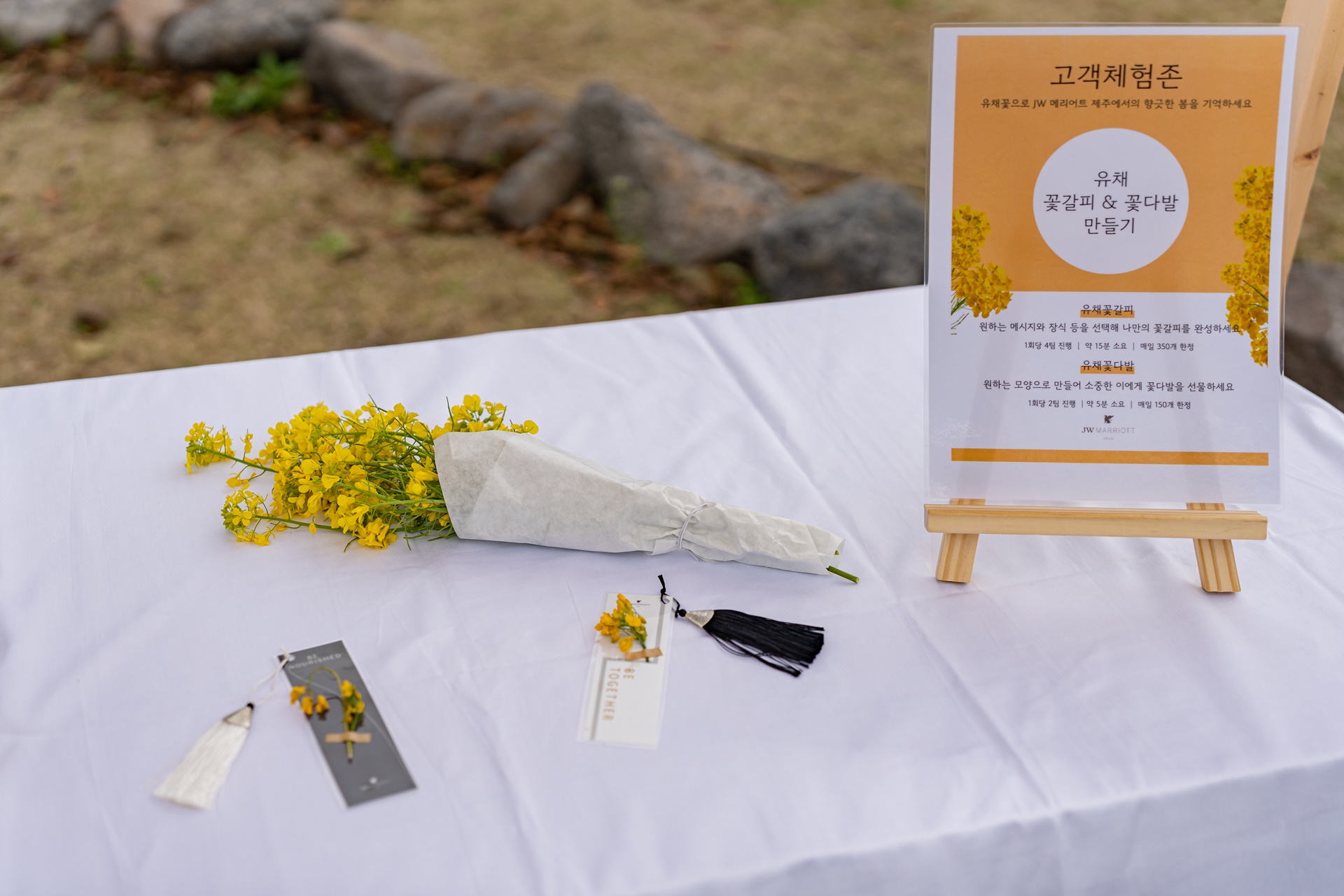 #JW가든 #JW메리어트제주 #댄싱두루미 #더플라잉호그 #아일랜드키친 #유채꽃 #제주사진 #제주여행 #제주유채꽃 #제주호텔