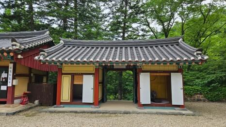 금산 보석사 : 1,100년 은행나무와 전나무 숲길이 주는 위로