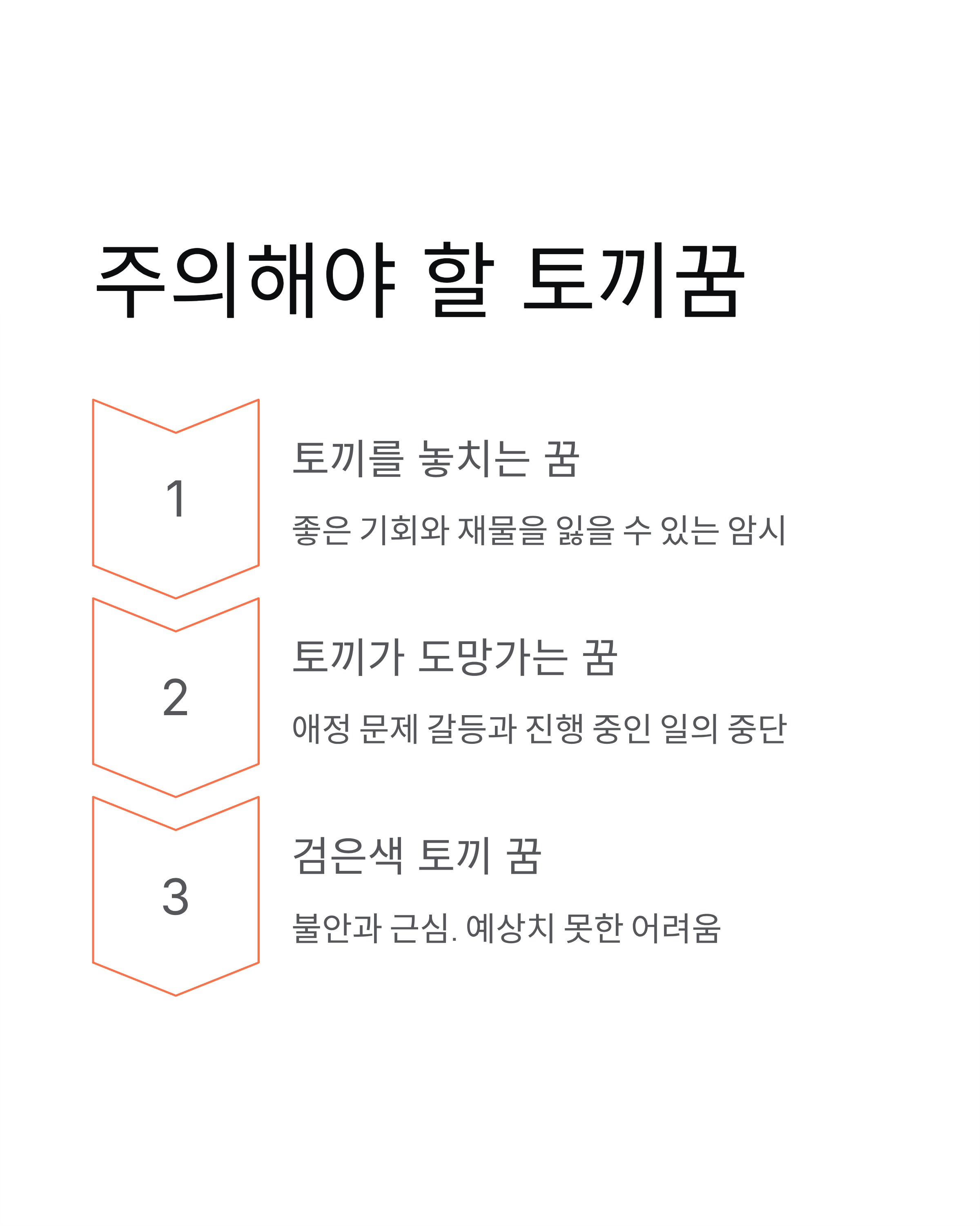 🐇 토끼꿈: 행운과 횡재수 폭발! ,토끼 태몽부터, 하얀토끼 꿈 해몽까지 10가지 풀이!