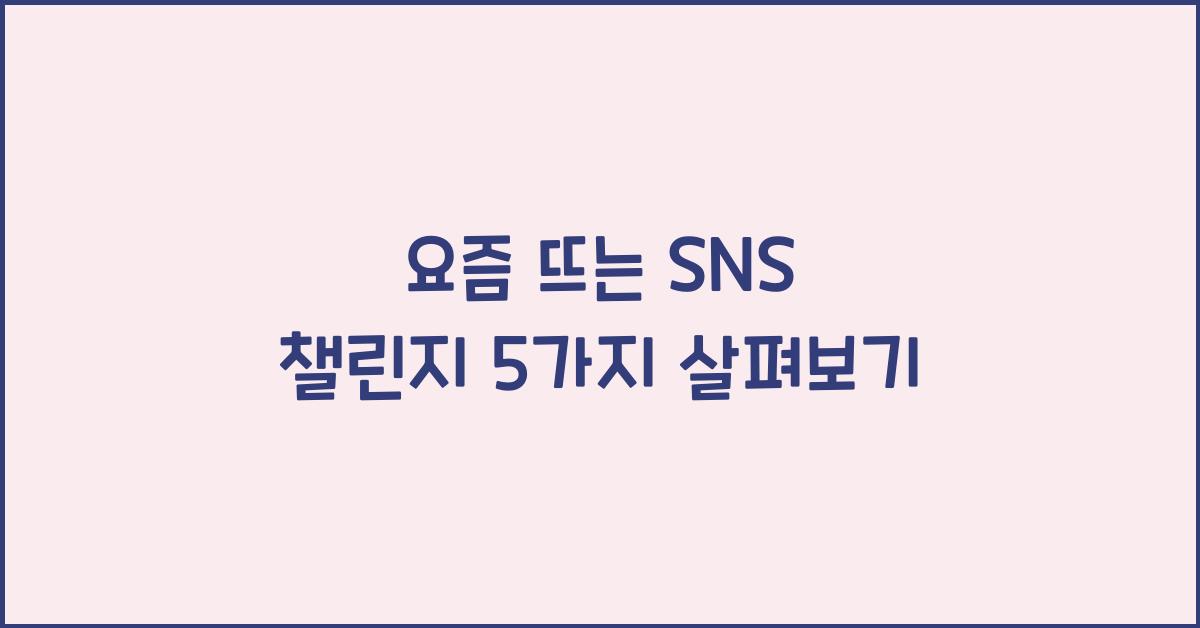 요즘 뜨는 SNS 챌린지